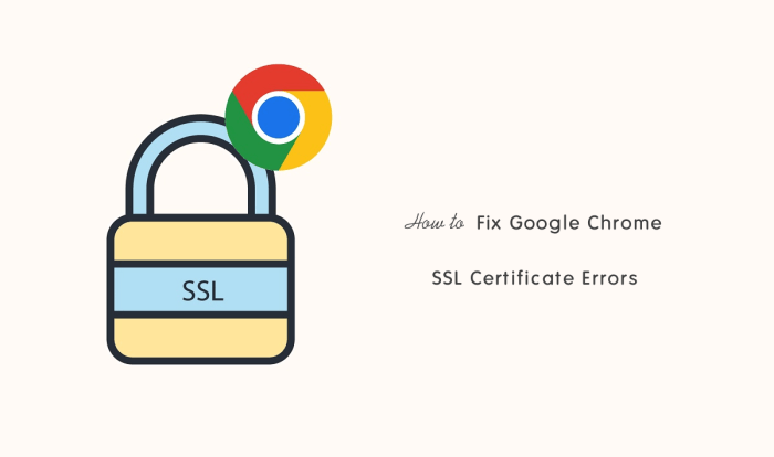 Google chrome to block entrust ssl