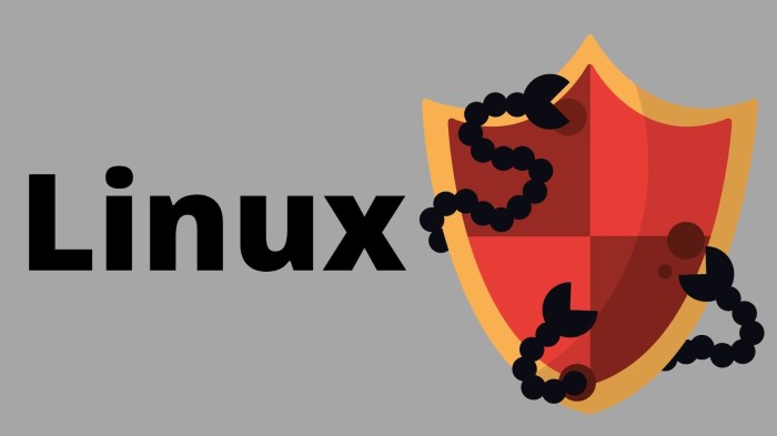Discord malware attacking linux india