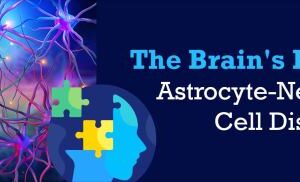 Brain cipher released decryption key